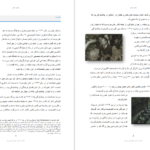 دانلود کتاب قدرت بی‌ قدرتان واتسلاف هاول pdf