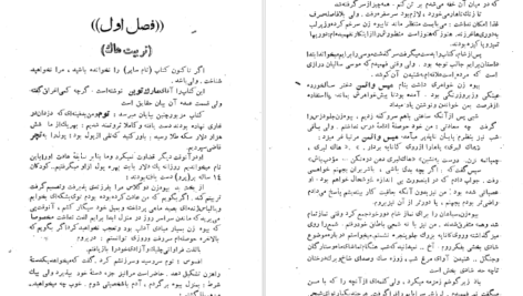 دانلود کتاب برده فراری مارک توین pdf