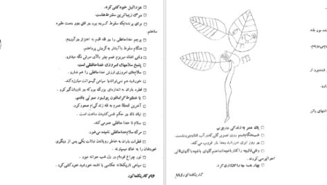 دانلود کتاب ضرب المثل و شوخی های احمد شاملو … pdf