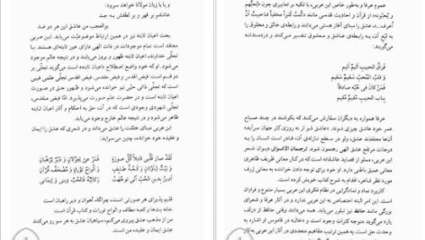 دانلود کتاب نمادگرایی در اندیشه ابن عربی ابراهیم مدکور pdf